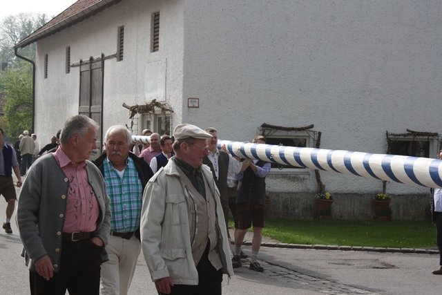 Maibaum 2013